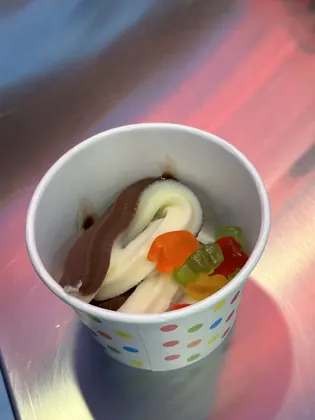 Avalanche Frozen Yogurt, business photo 4