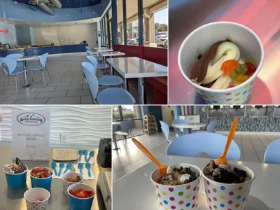 Avalanche Frozen Yogurt, business photo 1