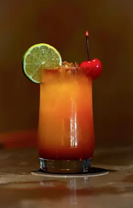 Casa Agave Restaurant, business photo 4