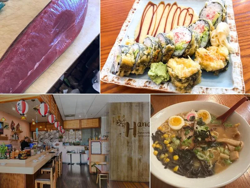 Hana | Japanese Restaurant business photo