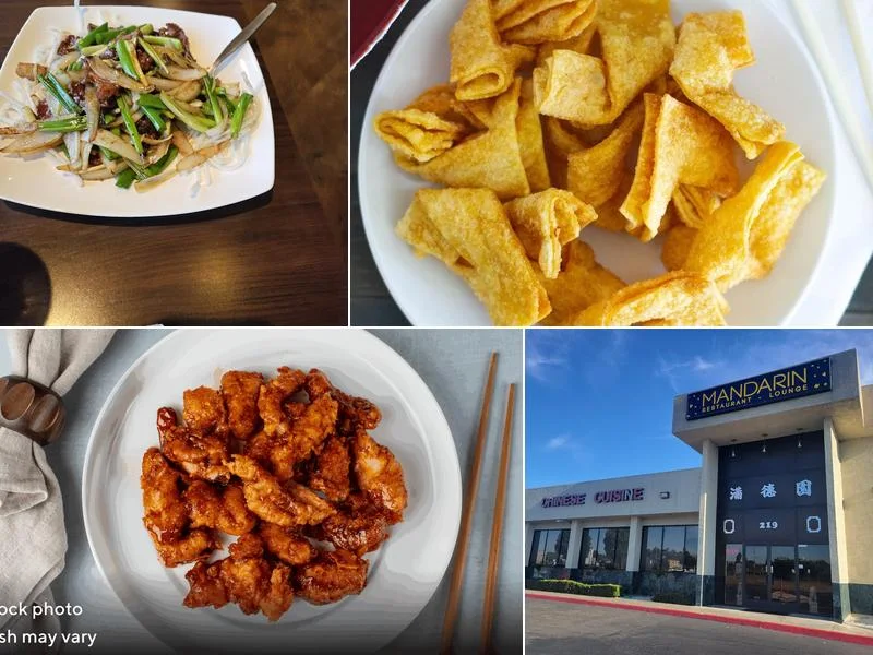 Mandarin Restaurant and Lounge business photo