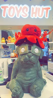 ToysHut- Authentic Needoh, Dumplings and all Squishy Pop Mart Products- Labubu, Sonny Angels and Pokémon cards, business photo 4