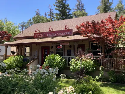 Vezer's Family Vineyard, business photo 2