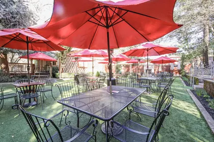Vezer's Family Vineyard, business photo 4