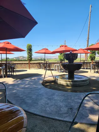Wooden Valley Winery, business photo 3
