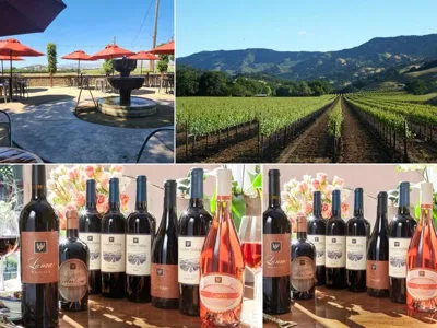 Wooden Valley Winery, business photo 1