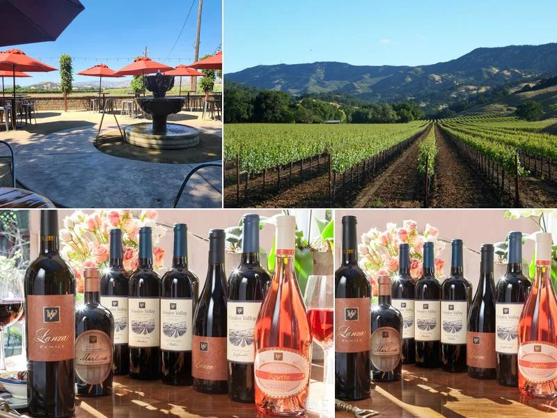Wooden Valley Winery business photo
