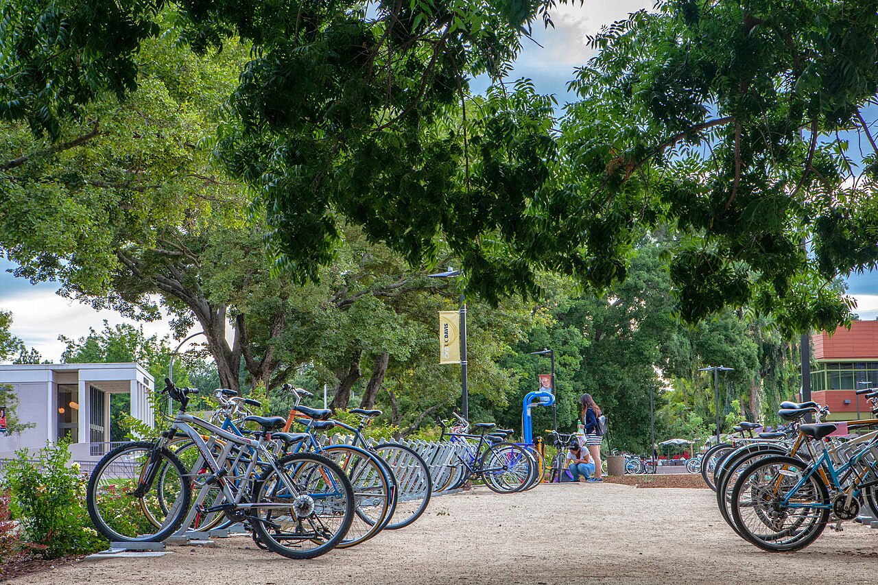 University of California-Davis campus